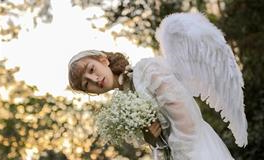 狮子座新月！十二星座許願指南