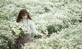 竹猫星球双子座一周塔罗运势（7.17-7.23）