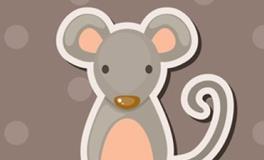 1972年的属鼠人2024年全年运势及每月运势详解