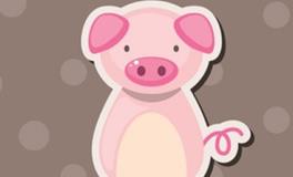 1983年的属猪人2024年全年运势及每月运势详解