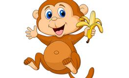 1980年属猴的五行属什么，是什么命？