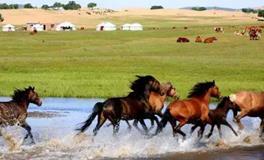 1990年属马的五行属什么，是什么命？