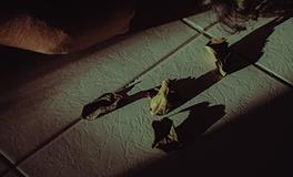 当B型血撒谎时会有什么反应？