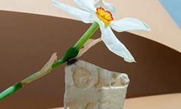 O型血长点心！太容易被骗了