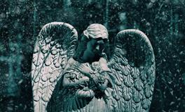 天使预言：为你目前的事业指引方向