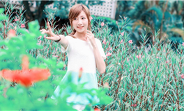 李云天2023年11月生肖运势