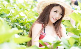 铁面无私的生肖，处事冷静有原则