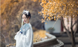 董易林十二生肖2024甲辰年十二月运程