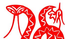 2001年属蛇的女生2024全年的运势/运程详解