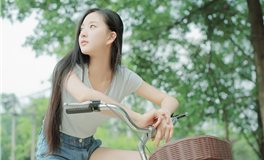 2024甲辰龙年十二生肖运势解析