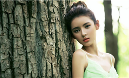 神叨酱狮子座2023年11月塔罗运势