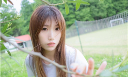 宋韶光属猪人2024甲辰年六月运程（2024.7.6-8.6）