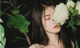 苏民峰生肖狗2024年运势