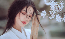 2024年人脉排行进入前三名的生肖