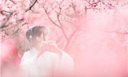 2023年12月十二生肖桃花运势和人脉运势