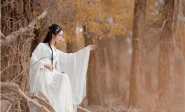 蒂姆Tim十二星座本周运势（11.26-12.2）