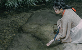 宋韶光属狗人2024甲辰年五月运程（2024.6.5-7.5）