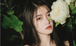 秦阳明生肖鸡一周运势（12.12-11.18）