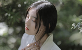 杀破狼处女座2024年运势