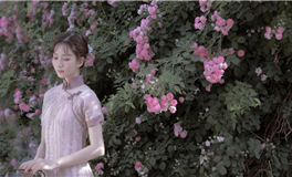 杨清华12生肖一周运势（12.11-12.17）