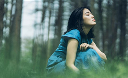 Hint占星金牛座一周运势(12.25-12.31）