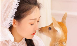 星座女神2024年十二星座运势