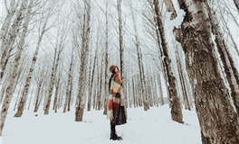 Alex大叔白羊座2023年12月运势