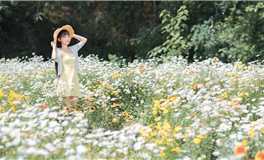 星座女神双子座一周运势（12.4-12.10）