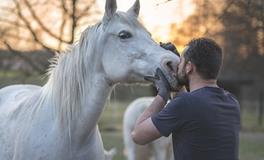 2024年属马人幸运色和禁忌色是什么，属马人龙年最旺的颜色