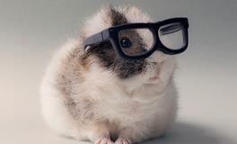 1984年属鼠人的小人是什么属相，如何化解小人