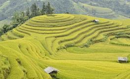 属蛇人适合搞养殖吗，最旺的年龄在哪几年