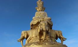 属猪的本命佛是什么