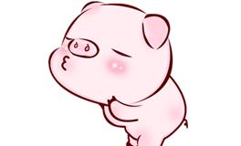 属猪的女人一生的命运