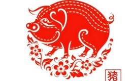 2007年属什么生肖