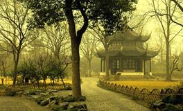 属猪的人最怕什么生肖