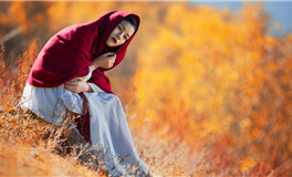 九紫离火运对属虎人影响