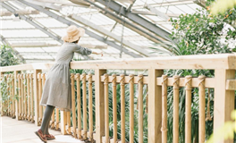 杨清华2024甲辰龙年生肖羊运势