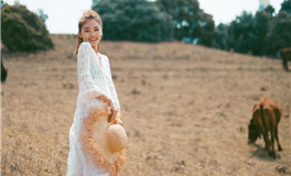 杨清华2024甲辰龙年生肖兔运势