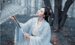 2024甲辰龙年十二生肖运势关键字