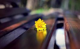 六月这几个星座事业运好到飞起！