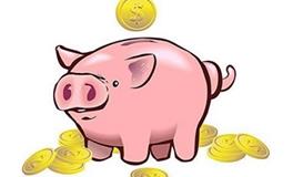 属猪最适合佩戴什么生肖饰品