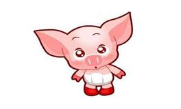 属猪人的六合贵人是谁