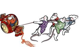 属鼠人的一生命运