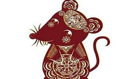 属鼠的适合什么颜色，属鼠的幸运色是什么