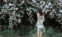 李云天生肖鸡一周运势（1.14-1.20）