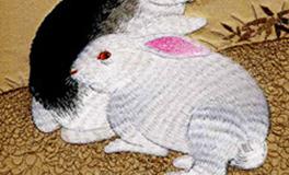 属兔的女人性格和脾气好吗