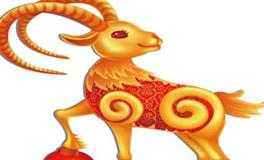 属羊的名人和明星