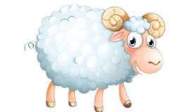 1979年属羊的会不会离婚