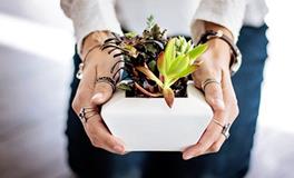 属羊的和什么生肖在一起最旺