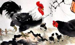 属鸡的年份有哪些